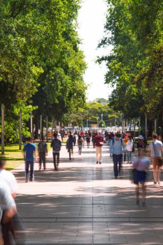 Main walkway on the UNSW Kensington campus
