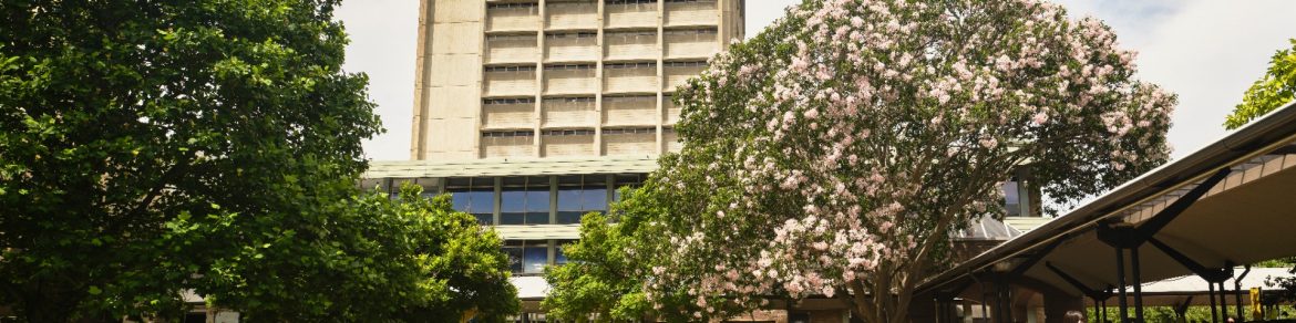 Students on the main walkway at UNSW Kensington.